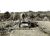 Kanburi-19550521c.jpg