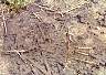 Juba_Sudan-7802bb.jpg