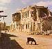 Suakin_Sudan-7802a.jpg