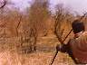 juba_hunt-7802ab.jpg