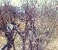 juba_hunt-7802ad.jpg