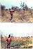 juba_hunt-7802b.jpg