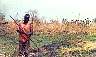 juba_hunt-7802bb.jpg