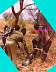 juba_hunt-7802dc.jpg