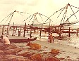 cochin_net.jpg